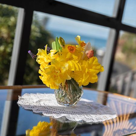 Petra Seaside Apartment Dunedin Ngoại thất bức ảnh